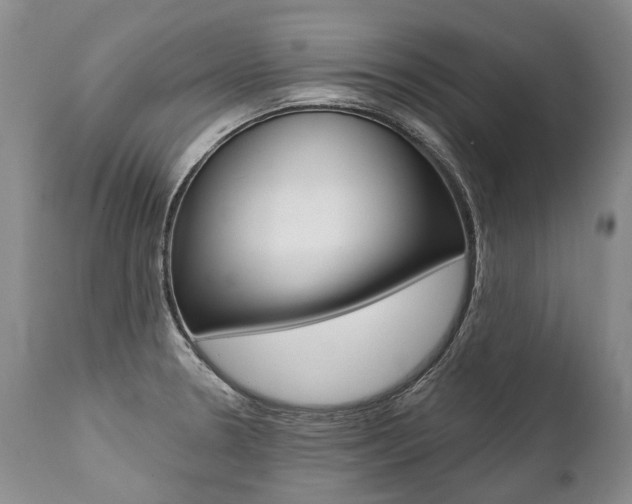 X0000112001330200908031037