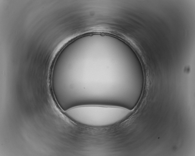 X0000112001331200908031037