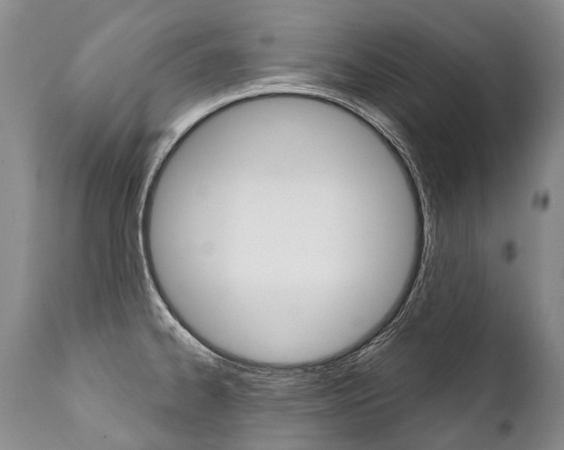 X0000112001334200908031037
