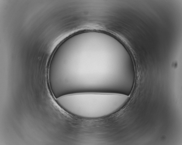 X0000112001335200908031037