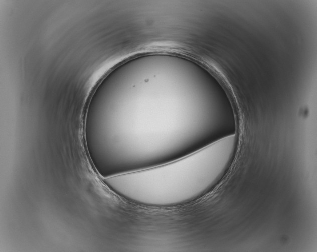 X0000112001336200908031037