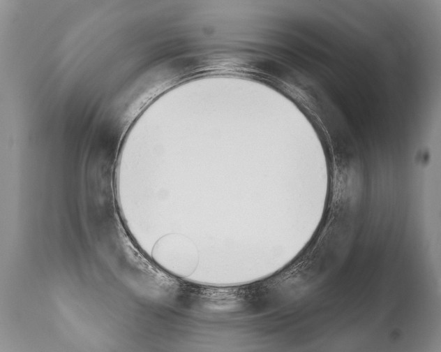 X0000112001338200908031037