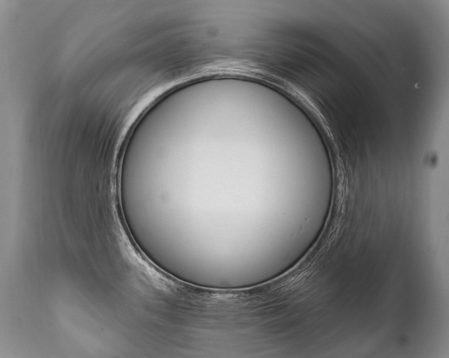 X0000112001339200908031037