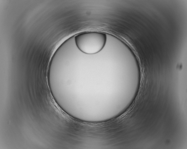 X0000112001340200908031037