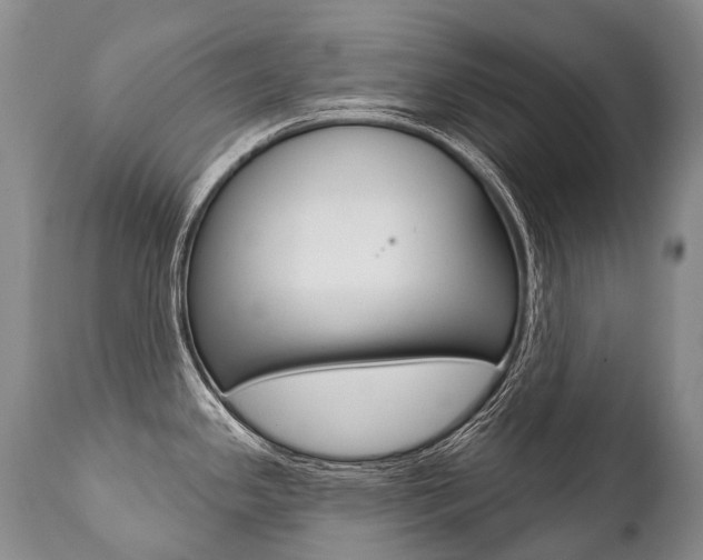 X0000112001341200908031037