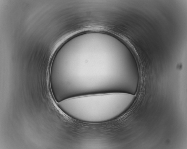X0000112001343200908031037