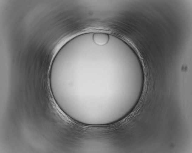 X0000112001344200908031037