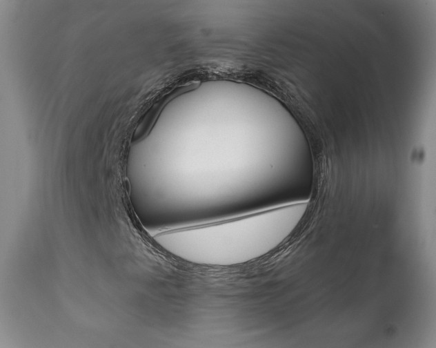 X0000112001345200908031036