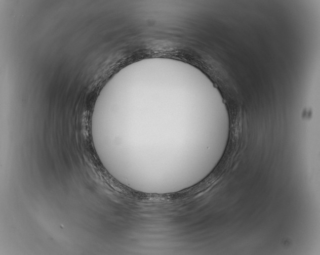 X0000112001346200908031036