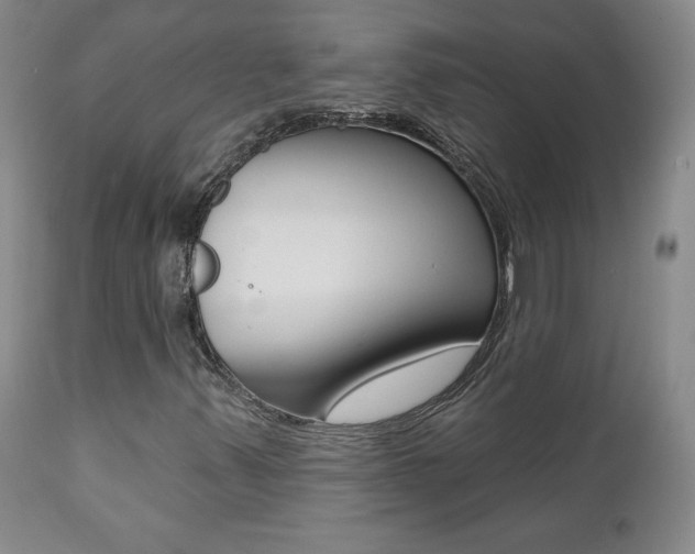X0000112001347200908031036