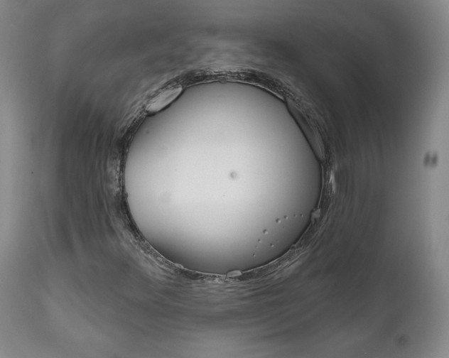 X0000112001348200908031036