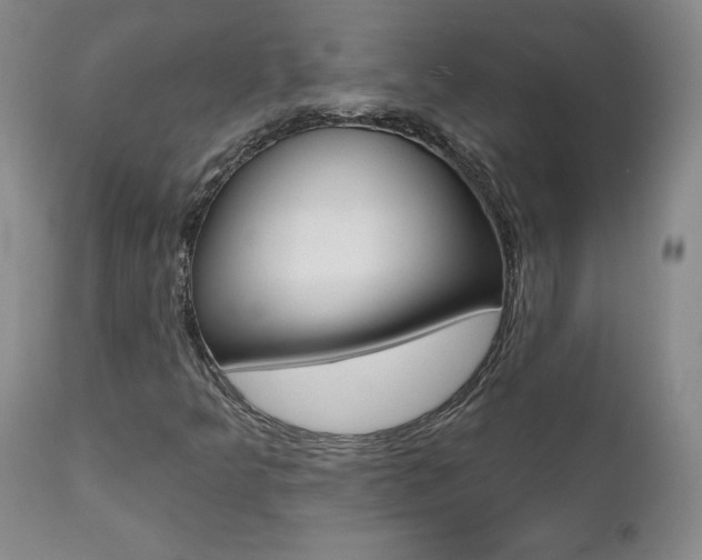 X0000112001349200908031036