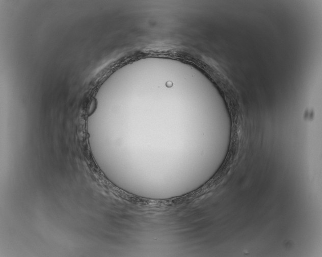 X0000112001350200908031036