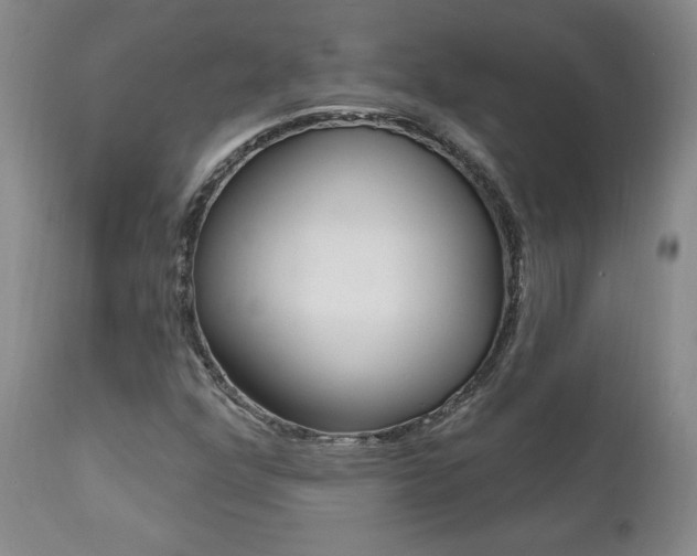 X0000112001352200908031036