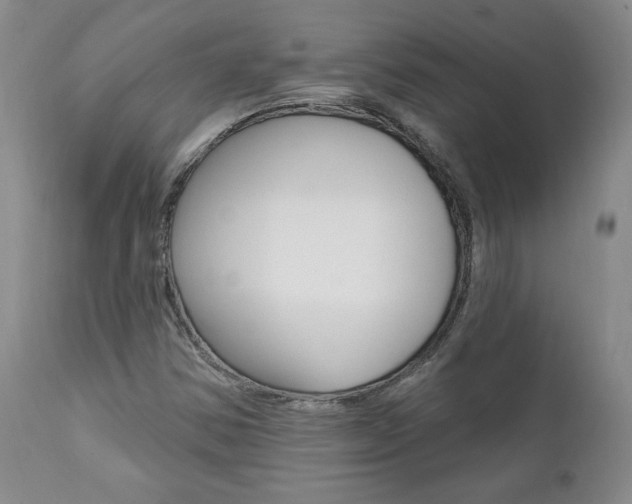 X0000112001354200908031036
