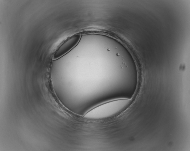 X0000112001355200908031036