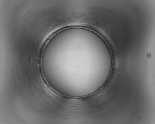 X0000112001356200908031036