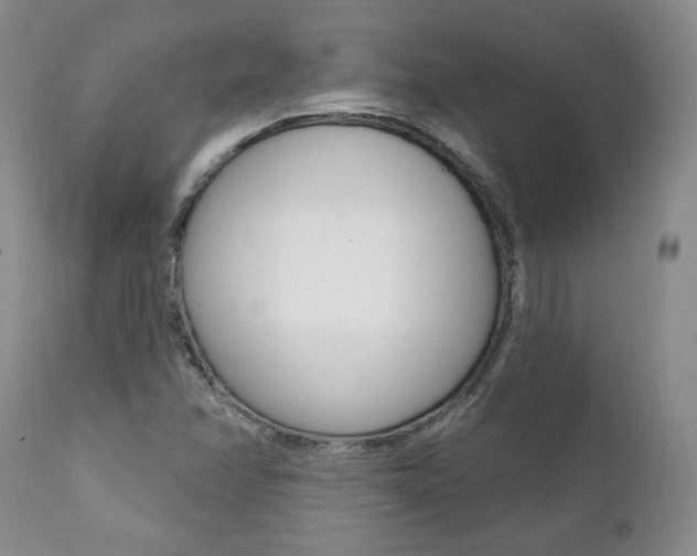 X0000112001358200908031036