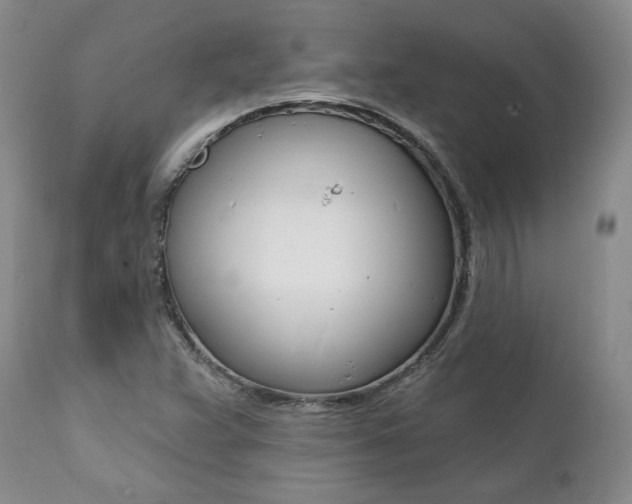 X0000112001359200908031036