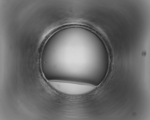 X0000112001360200908031036