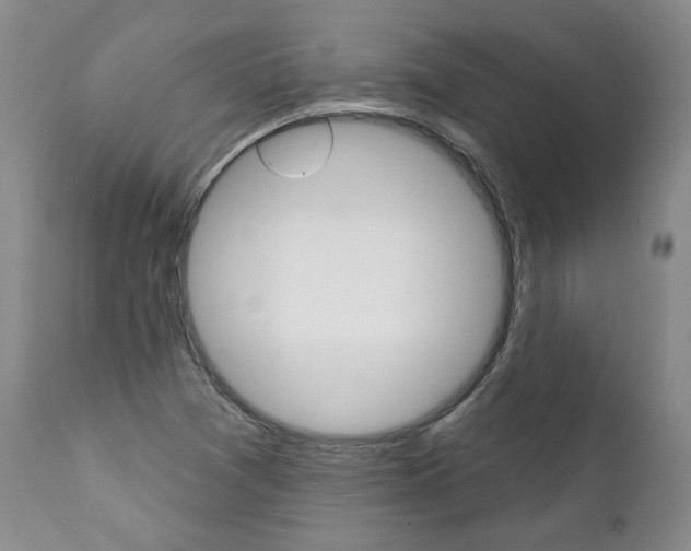 X0000112001361200908031036
