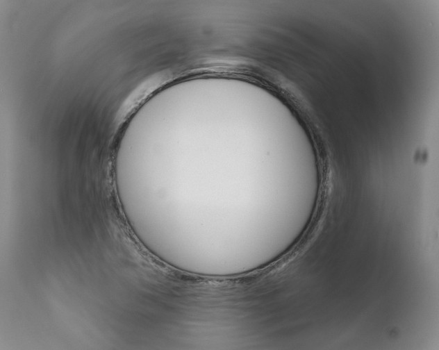 X0000112001362200908031036