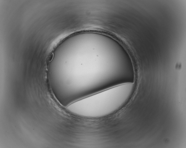 X0000112001363200908031036