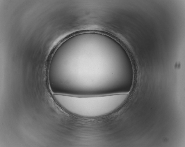 X0000112001364200908031036