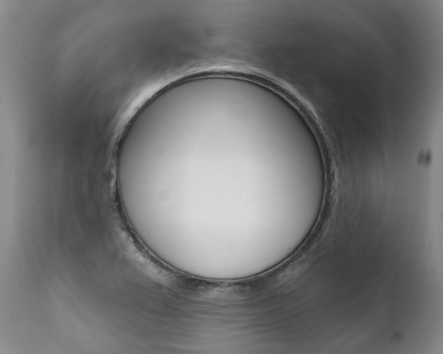 X0000112001367200908031036