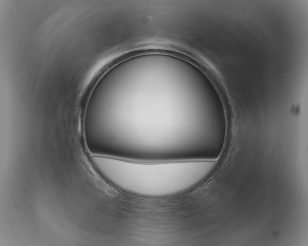 X0000112001368200908031036