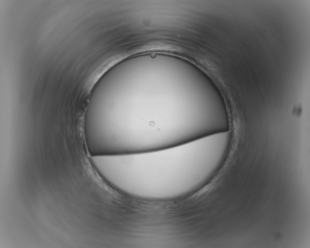 X0000112001369200908031036