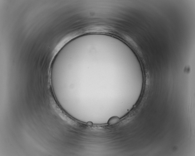 X0000112001370200908031036