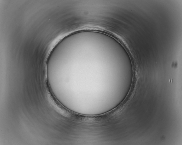 X0000112001371200908031036