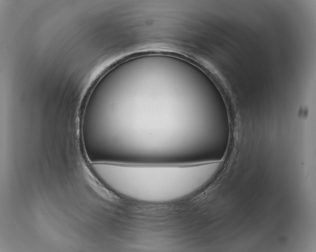 X0000112001372200908031036