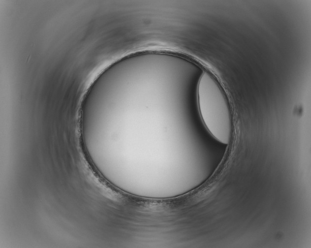 X0000112001375200908031036