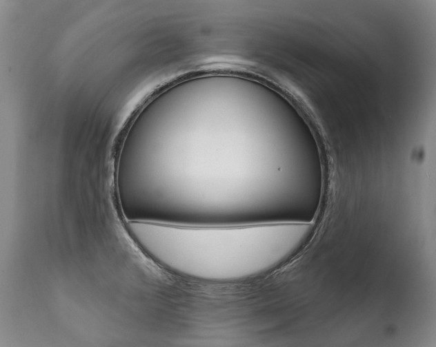 X0000112001376200908031036