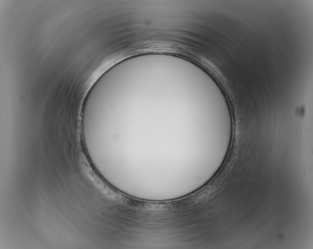 X0000112001378200908031036