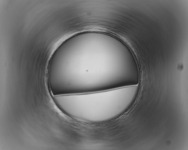 X0000112001379200908031036