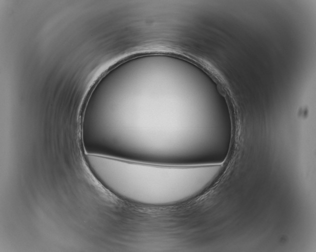 X0000112001380200908031036