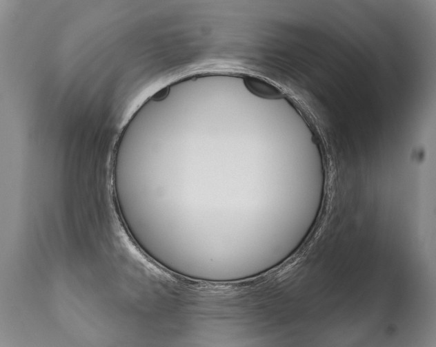 X0000112001382200908031036