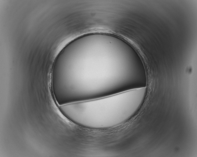 X0000112001383200908031036