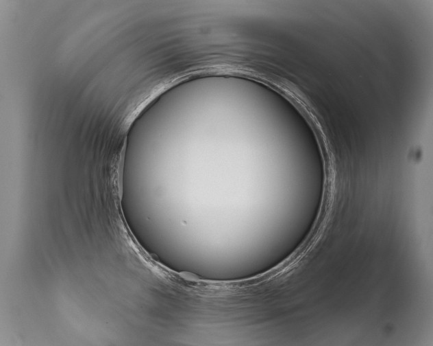 X0000112001385200908031036