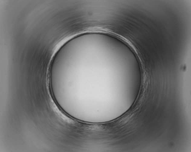 X0000112001387200908031036