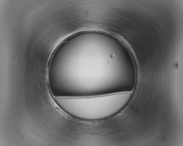 X0000112001388200908031036