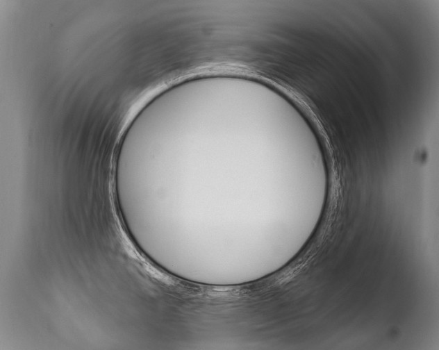 X0000112001390200908031036