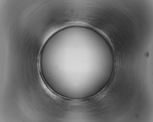 X0000112001391200908031036