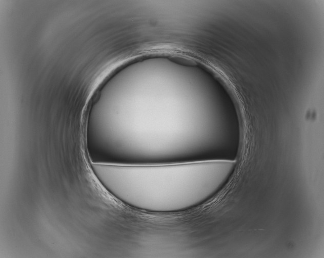 X0000112001392200908031036