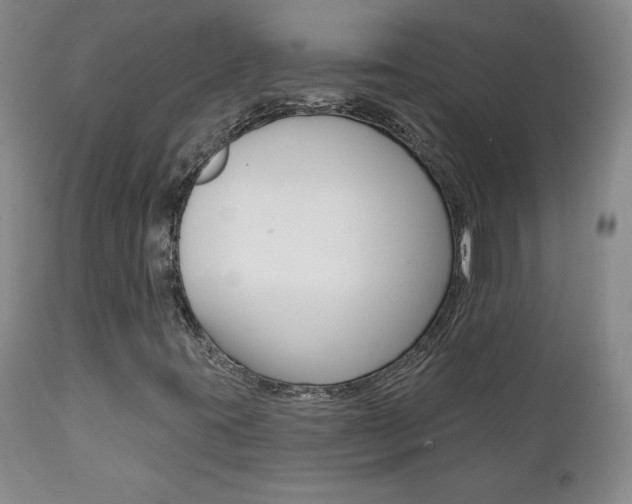 X0000112001395200908031035