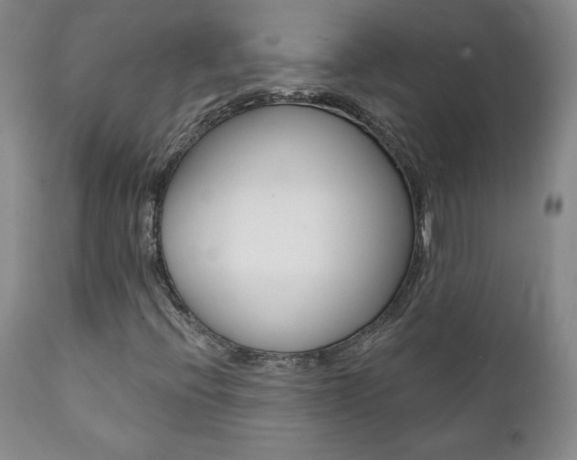 X0000112001396200908031035