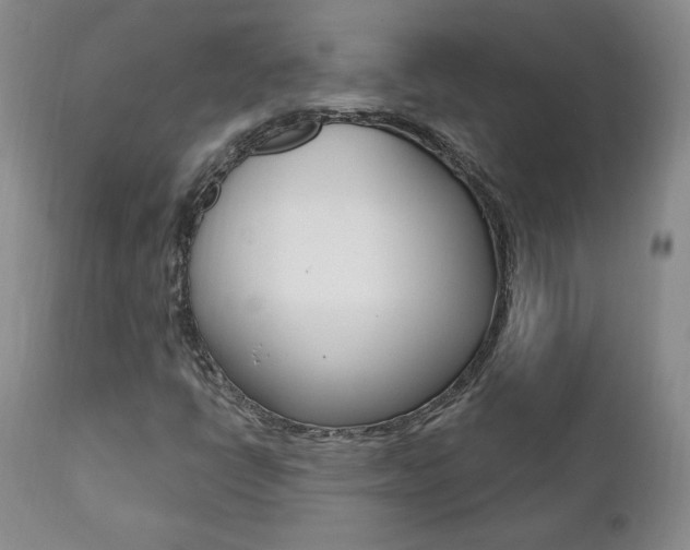 X0000112001398200908031035